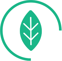 véhicule écologique